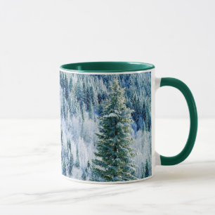 USA, Washington, Mt. Spokane State Park, Aspen 2 Tasse