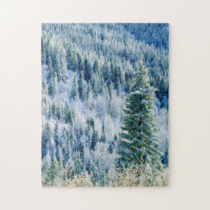 USA, Washington, Mt. Spokane State Park, Espe Puzzle