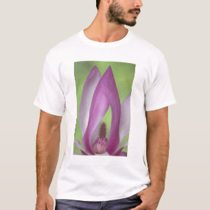USA, Washington. Nahaufnahme einer Magnolienblüte. T-Shirt