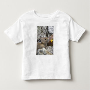 USA, Washington, Nordkaskaden-Nationalpark, Kleinkind T-shirt