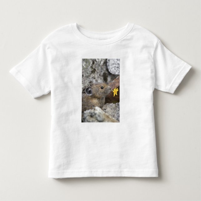 USA, Washington, North Cascades National Park, Kleinkind T-shirt (Vorderseite)