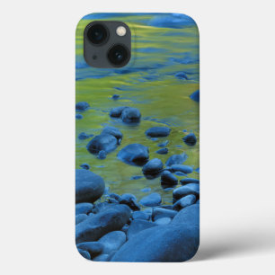 USA, Washington, Olympic National Park 4 Case-Mate iPhone Hülle