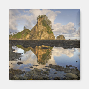 USA, Washington, Olympic National Park.A Magnet