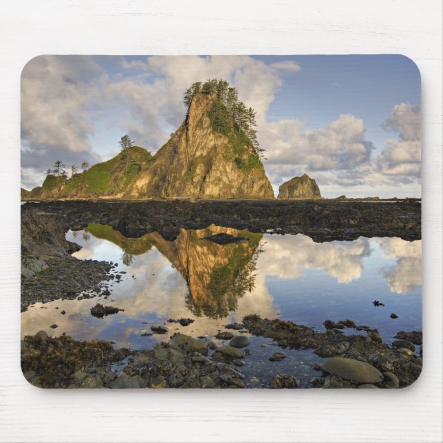 USA, Washington, Olympic National Park.A Mousepad (Vorne)