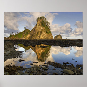 USA, Washington, Olympic National Park.A Poster