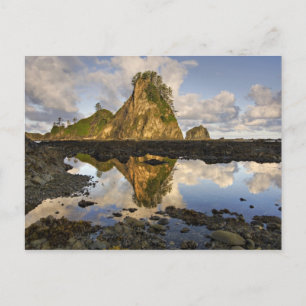 USA, Washington, Olympic National Park.  A Postkarte