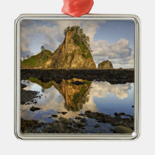 USA, Washington, Olympic National Park.A Silbernes Ornament