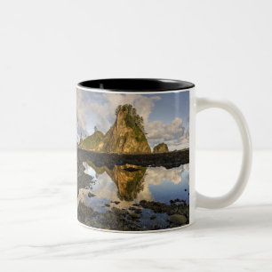 USA, Washington, Olympic National Park.A Zweifarbige Tasse