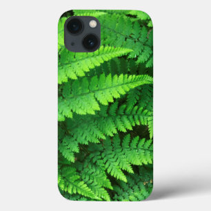 USA, Washington, Olympic National Park, Athyrium iPhone 13 Hülle