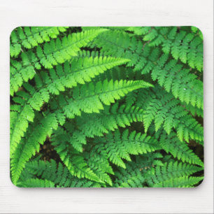 USA, Washington, Olympic National Park, Athyrium Mousepad