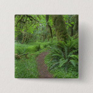 USA, Washington, Olympic National Park, Button