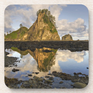 USA, Washington, Olympic National Park. Ein Getränkeuntersetzer