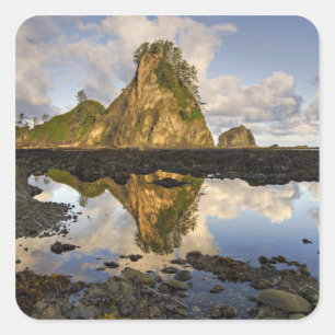 USA, Washington, Olympic National Park. Ein Quadratischer Aufkleber