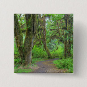 USA, Washington, Olympic National Park, Hoh Button