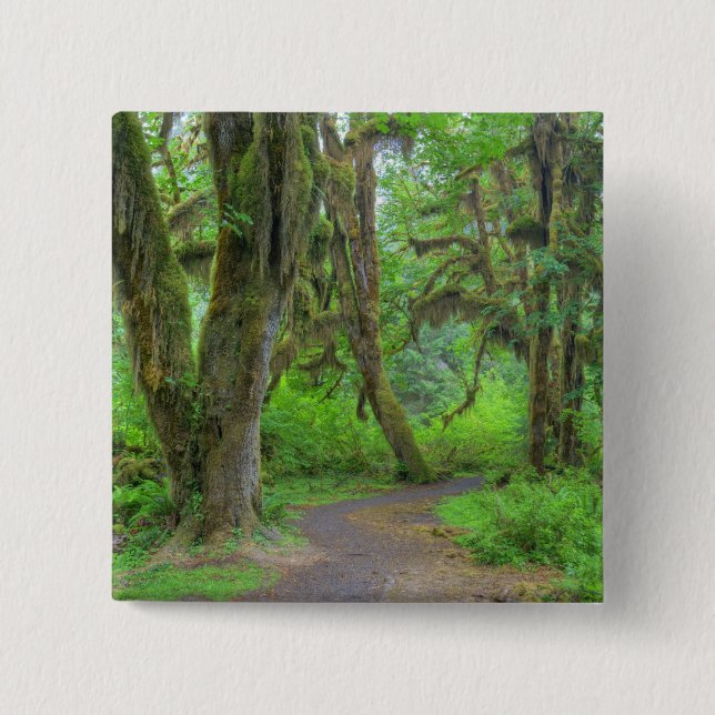 USA, Washington, Olympic National Park, Hoh Button (Vorderseite)