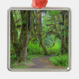 USA, Washington, Olympic National Park, Hoh Ornament Aus Metall