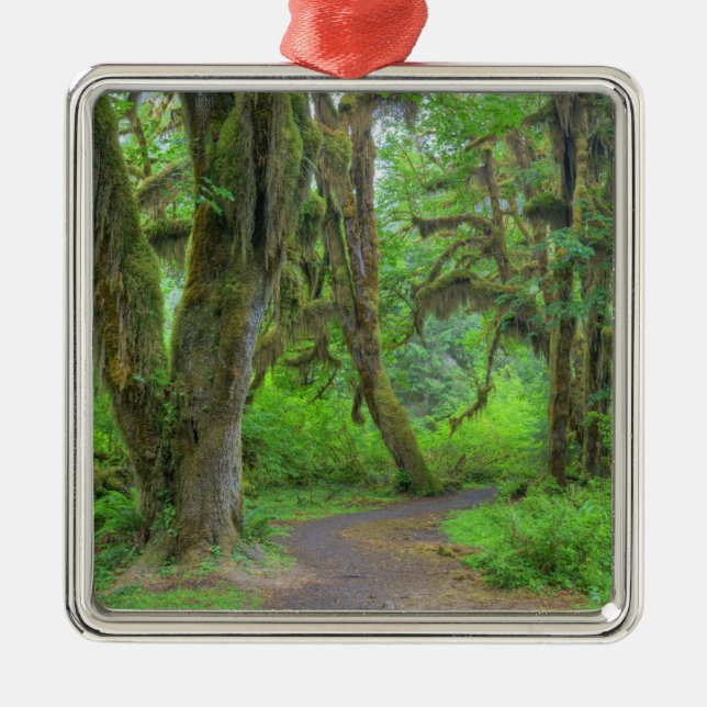 USA, Washington, Olympic National Park, Hoh Ornament Aus Metall (Vorne)