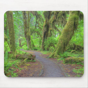 USA, Washington, Olympic National Park, Hoh Rain Mousepad