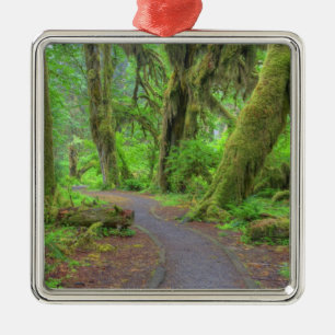 USA, Washington, Olympic National Park, Hoh Rain Silbernes Ornament