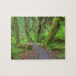 USA, Washington, Olympic National Park, Hoh-Regen Puzzle