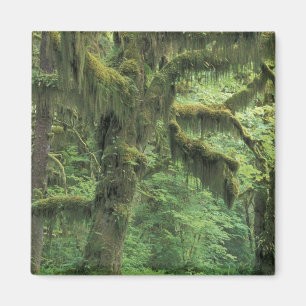 USA, Washington, Olympic National Park. Magnet