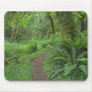 USA, Washington, Olympic National Park, Mousepad