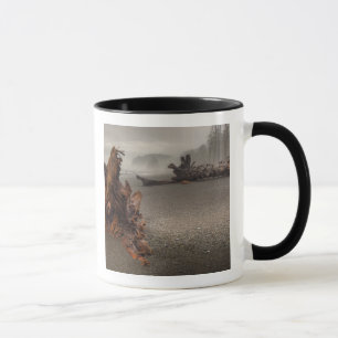 USA, Washington, Olympic National Park, Rialto 2 Tasse