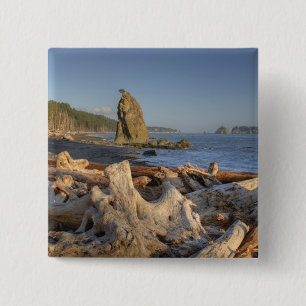 USA, Washington, Olympic National Park, Rialto Button