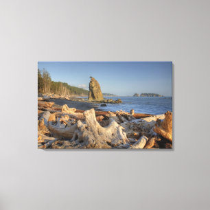 USA, Washington, Olympic National Park, Rialto Leinwanddruck