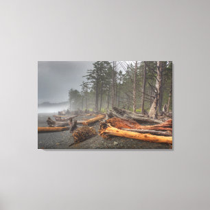 USA, Washington, Olympic National Park, Rialto Leinwanddruck