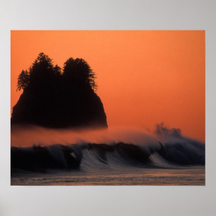 USA, Washington, Olympic National Park, Sea Poster