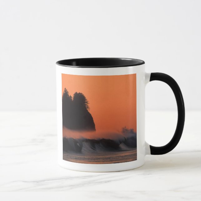 USA, Washington, Olympic National Park, Sea Tasse (Rechts)
