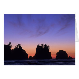 USA, Washington, Olympic National Park, Shi-shi