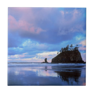USA, Washington, Olympic-Nationalpark 2 Fliese