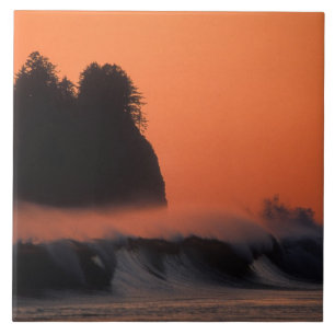 USA, Washington, Olympic-Nationalpark, Meer Fliese