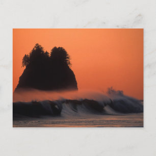 USA, Washington, Olympic-Nationalpark, Meer Postkarte
