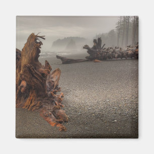 USA, Washington, Olympic-Nationalpark, Rialto 2 Magnet