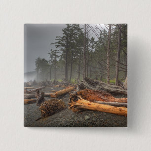 USA, Washington, Olympic-Nationalpark, Rialto Button