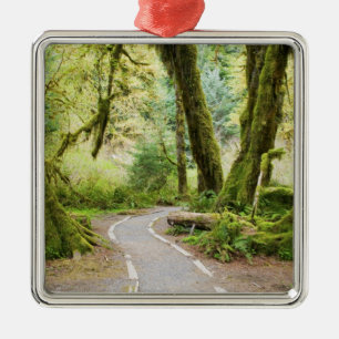 USA, Washington, Olympic-Nationalpark, Wandern Silbernes Ornament
