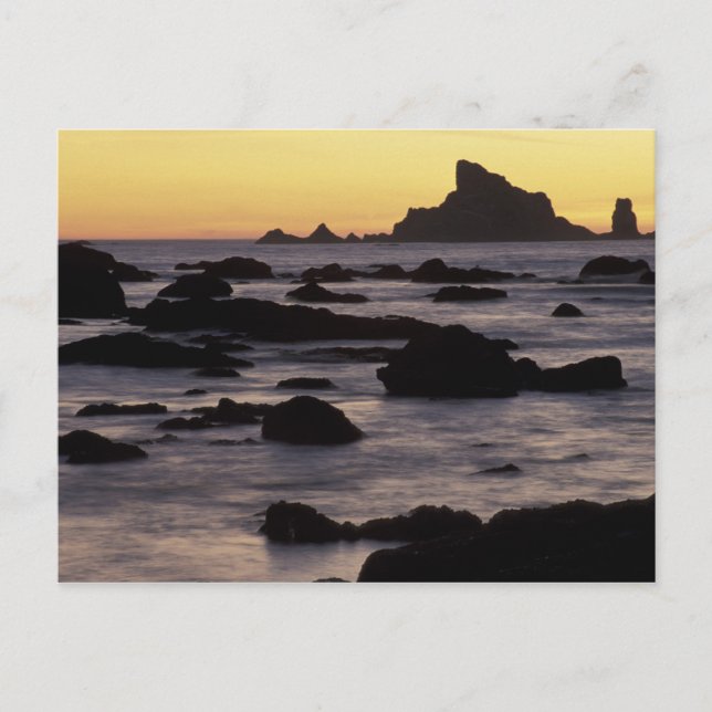 USA, Washington, Olympic Nat'l Park, Seastacks Postkarte (Vorderseite)