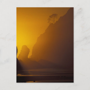 USA, Washington, Olympic Nat'l Park, Sunset, 2 Postkarte
