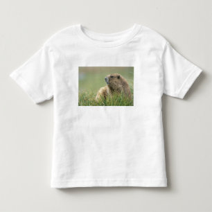 USA, Washington, Olympic NP, Olympic Murmeltier Kleinkind T-shirt