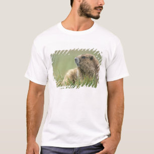 USA, Washington, Olympic NP, Olympic Murmeltier T-Shirt