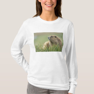 USA, Washington, Olympic NP, Olympic Murmeltier T-Shirt