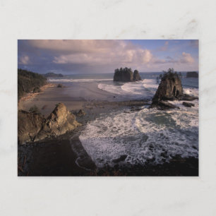 USA, Washington, Olympic NP, Postkarte