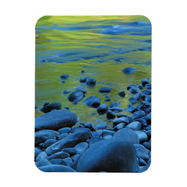 USA, Washington, Olympischer Nationalpark 4 Magnet (Vertikal)