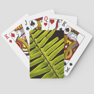 USA, Washington, Olympischer Nationalpark, Backlit Spielkarten