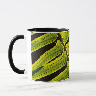 USA, Washington, Olympischer Nationalpark, Backlit Tasse