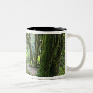USA, Washington, olympischer Nationalpark, Hoh Zweifarbige Tasse