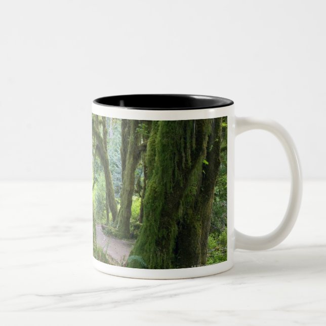 USA, Washington, olympischer Nationalpark, Hoh Zweifarbige Tasse (Rechts)
